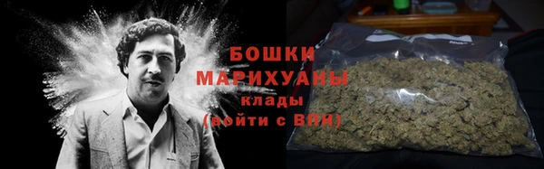 молекула духа Богородск