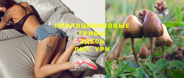 a pvp Беломорск